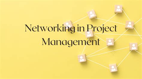 Project Networking 的图像结果