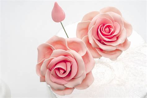 Image result for Gum Paste Rose Tutorial