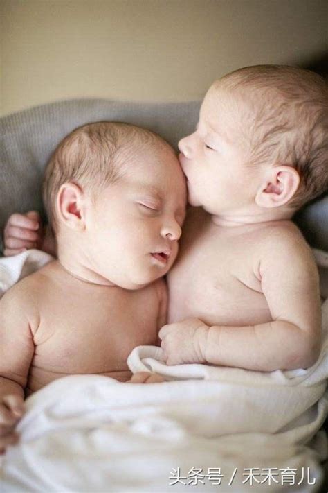 试管婴儿血值高是双胎（试管婴儿双胞胎几率有多大）-幼儿百科-魔术铺