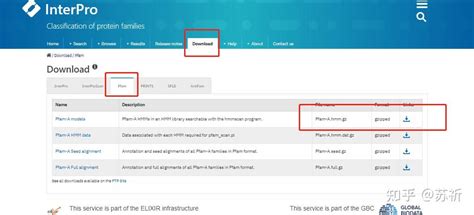 Pcambgfp Vector Map 的图像结果