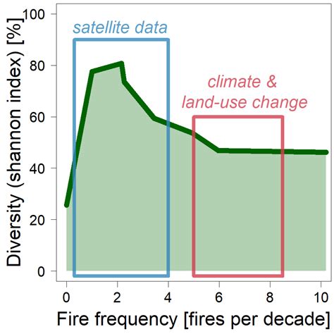The Long-Term Consequences of Forest Fires on the Carbon Fluxes of a ...