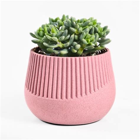 Eha Earth Friendly Oreo 4 inch Small pots for Indoor Plants | Plant Pot ...