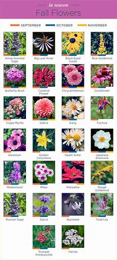Wedding Flowers By Season With Pictures by What Flowers Are In Season Ftd Wedding Flowers By Season With Pictures