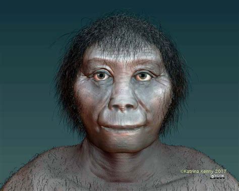 Homo floresiensis Likely Evolved from Primitive Ancestor in Africa, Researchers Say ...