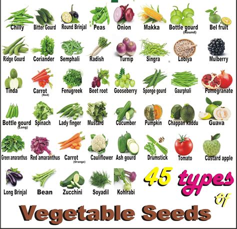 Seeds Zone Vegetable and Fruit Seeds Combo Of 40 Kinds of Vegetables ...
