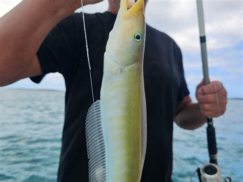 THOMPSON'S PARADISE TOURS & WATER SPORTS (2026) All You Need to Know ...