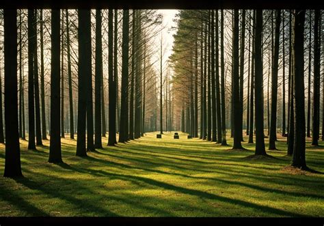 What Is A Green Funeral Home?