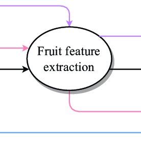 Image result for Tracking Algorithm Images Based On Fruits