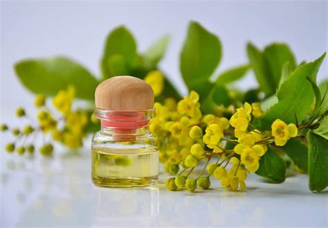 Image result for Essential Mods for Minecraft