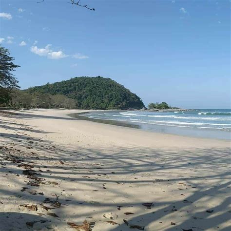 Brazilia Del Mar at Abbey Bracy blog