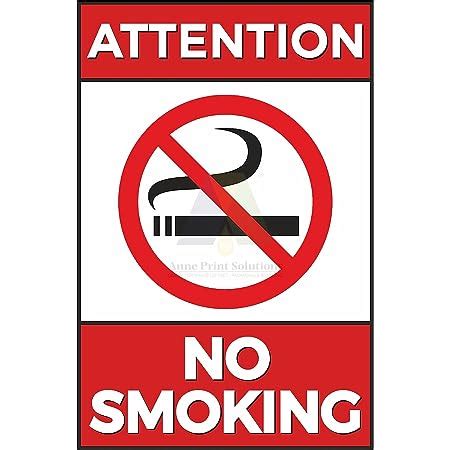 Anne Print Solutions® No Smoking Sticker for Office Stickers | No ...