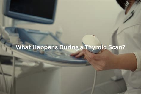 Thyroid Scans: A Simple Test for Better Health Insight