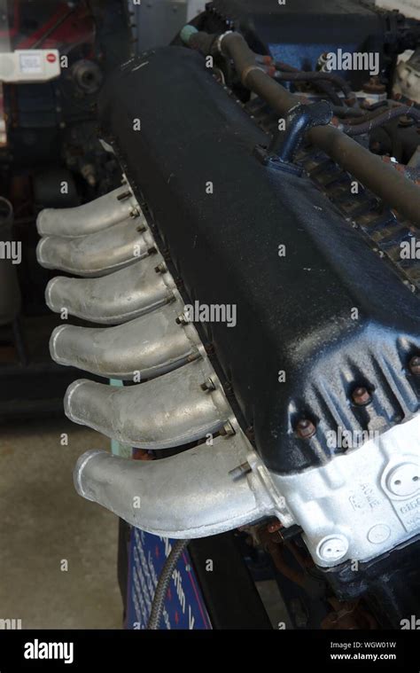 Merlin Engine 的图像结果