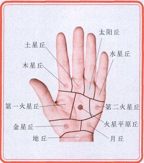 三、手掌九宫、九星丘分区划分法-手部反射与望手诊病-医学