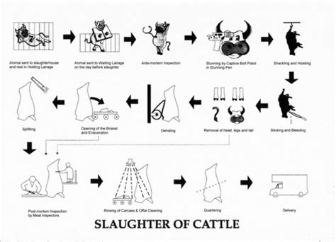 Slaughter Process 的图像结果