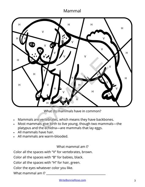 Classification by Color Code in Evolution 的图像结果