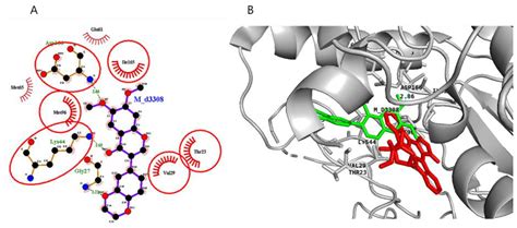 Single Crystal X-Ray Structure for the Disordered Two Independent ...