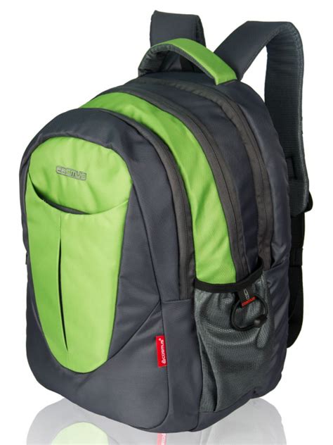 Buy Eden Laptop Backpack for 15.6 Inch Laptop Grey Parrot Green Bag ...