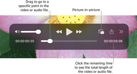 Open and play a file in QuickTime Player on Mac - Apple Support (IN)