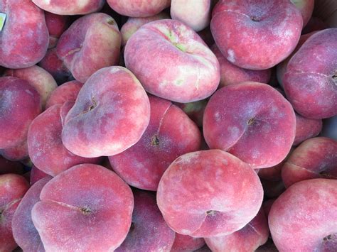 Peaches In Spanish Translation at John Rosado blog