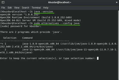 Manage Multiple Java Versions CentOS 的图像结果