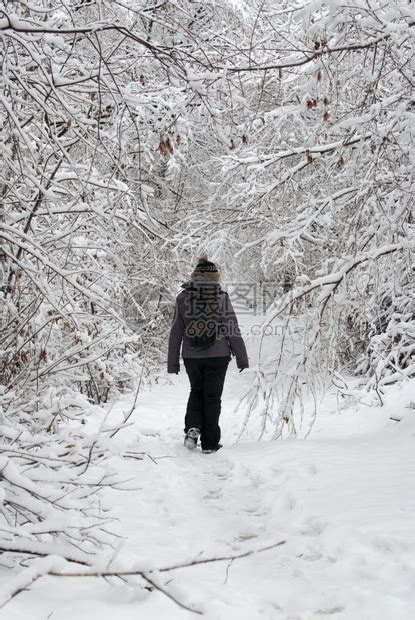 雪地里行走的女性高清图片下载-正版图片308002516-摄图网