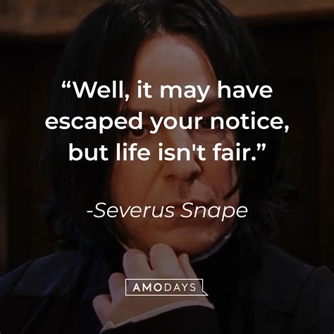 55 Snape Quotes from the Charismatic Wizard of the Harry Potter Series