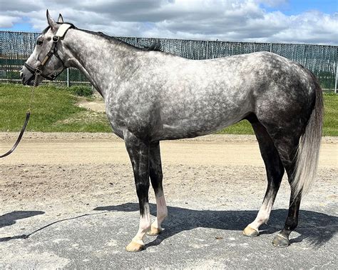 Image result for Treble Clef Bar