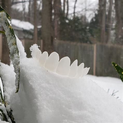 Pop On Veneers Review - Must Read This Before Buying