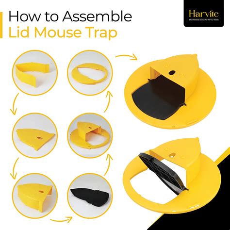 Image result for Mouse Bucket Device