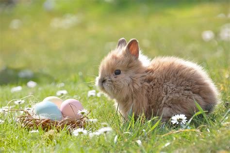 Easter in France: French Easter Traditions - My Private Paris