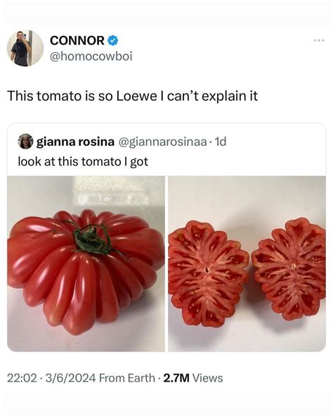 As the Loewe tomato becomes famous, will luxury brands meme their way ...