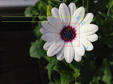 Image result for How to Add Images to Python