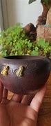 Image result for Handmade Ceramic Bonsai Pots