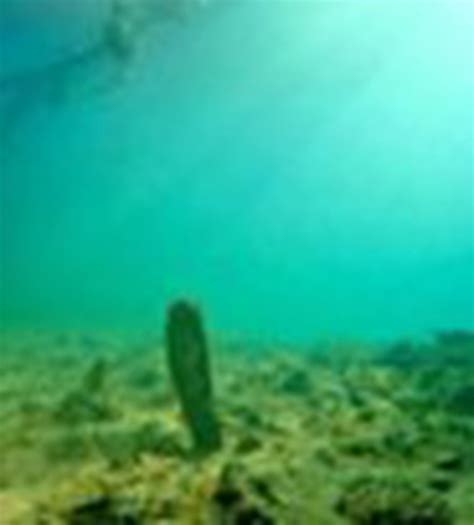 Admin e-Learn Legacy IAS Digital