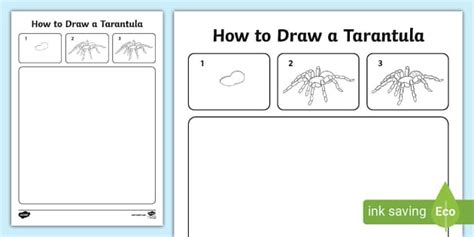 How to Draw a Tarantula | Drawing | Art | Spiders | Twinkl