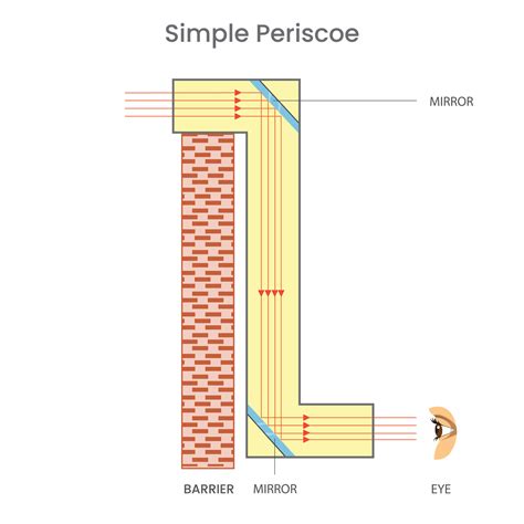 What Function Models The Height Of The Periscope at David Michael blog