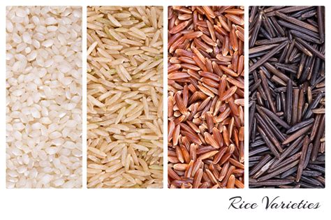 Variedades de arroz en un collage con cuatro tipos de arroz | Foto Premium