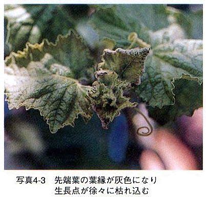 Image result for Testing Code for Hand Phone