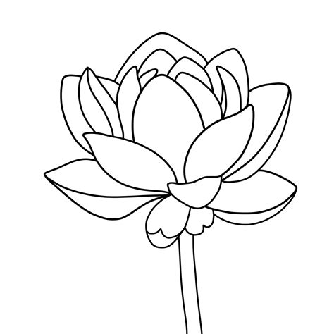 Lotus Outline