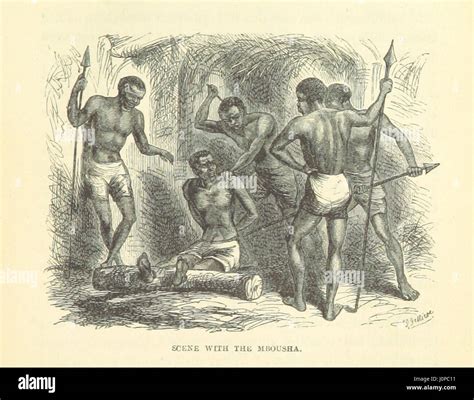 This book recounts tales and observations from the regions inhabited by gorillas, offering a ...