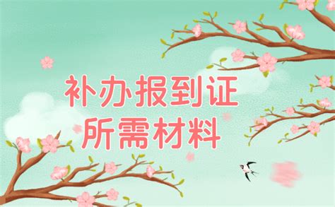 黑龙江毕业生怎么补办报到证？超详细补办流程赶紧看看！ - 档案服务网