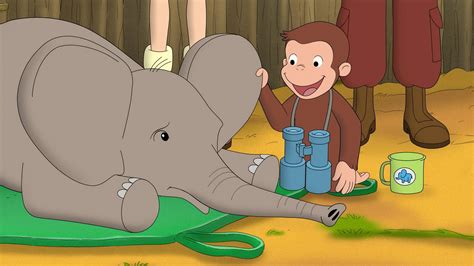Watch Curious George Season 5 Streaming Online | Peacock