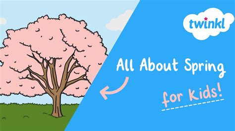 Image result for Learn Spring for Beginners