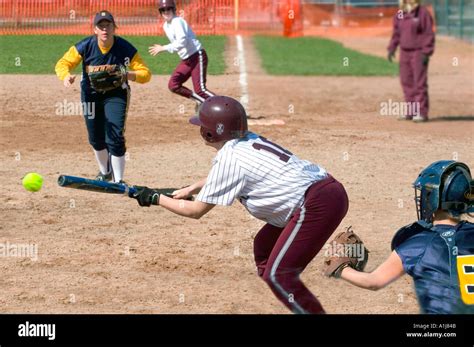 Softball 的图像结果