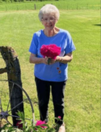 Mary Ann Moens Obituary - 2023 - Vandemore Funeral Homes and Cremation ...