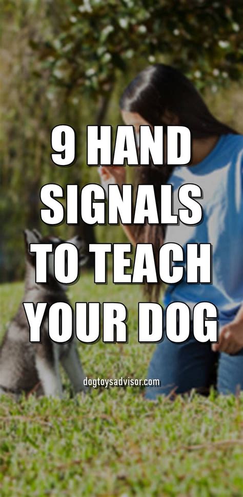 Image result for Hand Signs for Dogs