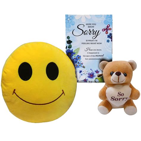 Saugat Traders Sorry Gift Combo for Friends Girlfriend Boyfriend - Soft ...