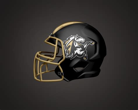 Custom Helmet Decals and Stickers | Custom Football Helmet Decals | Wooter Apparel