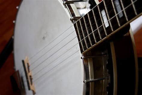 Free picture: five strings, banjo instrument, music